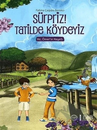Sürpriz! Tatilde Köydeyiz – Fatma Çağdaş Börekçi – Diyanet İşleri Başkanlığı kitap kapağı