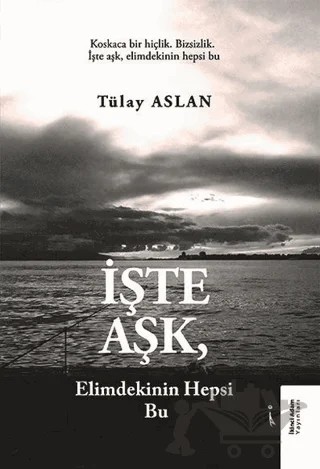 İşte Aşk, Elimdekinin Hepsi Bu – Tülay Aslan – İkinci Adam Yayınları kitap kapağı