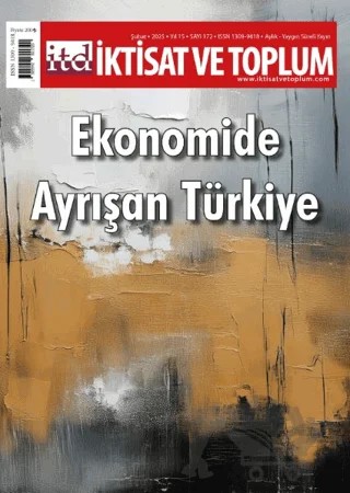 İktisat ve Toplum Dergisi 172. Sayı Ekonomide Ayrışan Türkiye – İktisat ve Toplum Dergisi kitap kapağı