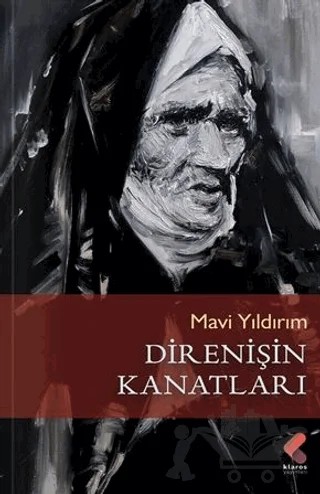 Direnişin Kanatları – Mavi Yıldırım – Klaros Yayınları kitap kapağı