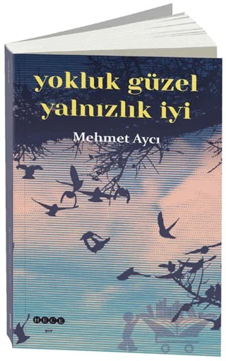 Yokluk Güzel Yalnızlık İyi – Mehmet Aycı – Hece Yayınları kitap kapağı