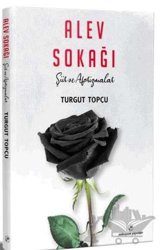 Alev Sokağı – Turgut Topçu – Milenyum Yayınları kitap kapağı
