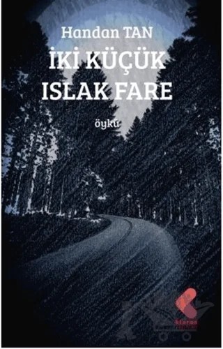 İki Küçük Islak Fare – Handan Tan – Klaros Yayınları kitap kapağı