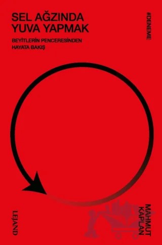 Sel Ağzında Yuva Yapmak – Mahmut Kaplan – Lejand kitap kapağı
