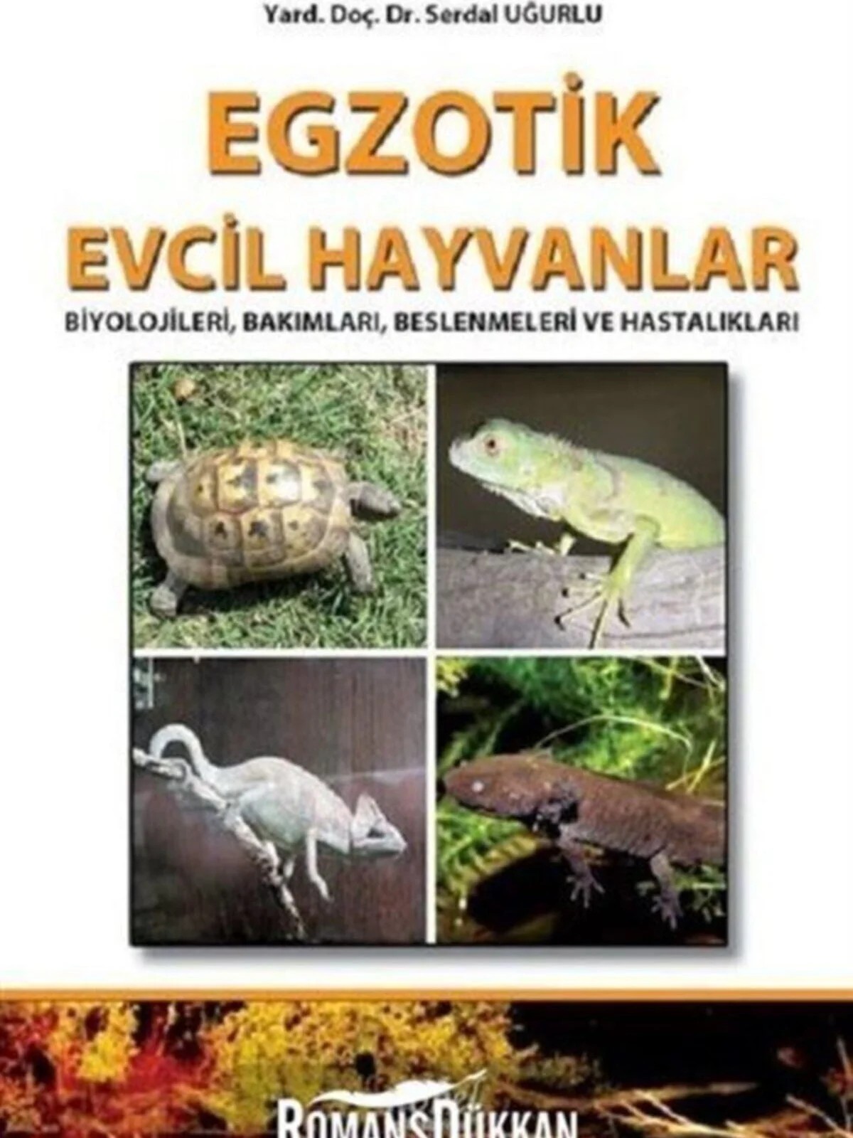 Egzotik Evcil Hayvanlar: Biyolojileri, Bakımları, Beslenmeleri ve Hastalıkları – Yard. Doç. Dr. Serdal Uğurlu – Nobel Tıp Kitabevleri kitap kapağı