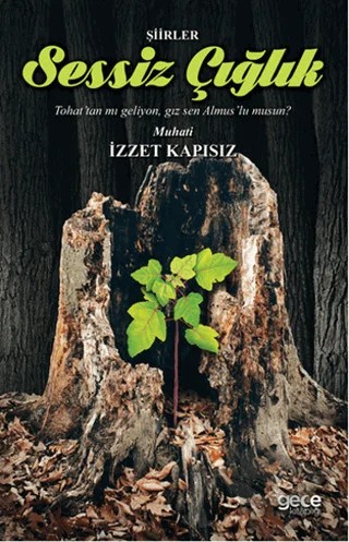 Sessiz Çığlık – İzzet Kapısız – Gece Kitaplığı kitap kapağı