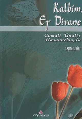 Kalbim, Ey Divane – Cemali Ünaldı Hasannebioğlu – Erguvan Yayınevi kitap kapağı
