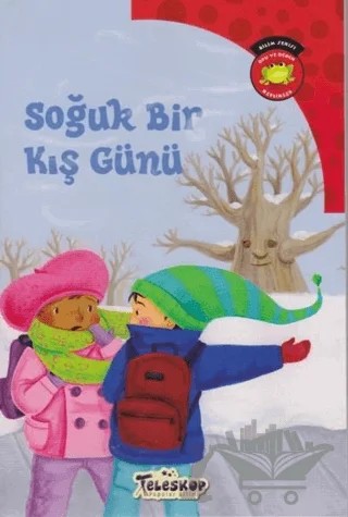 Soğuk Bir Kış Günü – Carl Emerson – Teleskop Popüler Bilim kitap kapağı