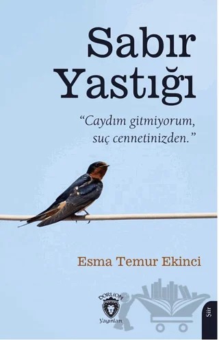 Sabır Yastığı – Esma Temur Ekinci – Dorlion Yayınları kitap kapağı