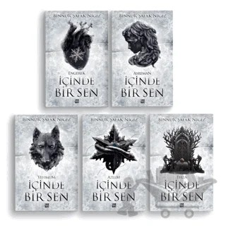 İçinde Bir Sen (5 Kitap Takım) – Binnur Şafak Nigiz – Dokuz Yayınları kitap kapağı
