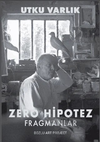 Zero Hipotez - Fragmanlar – Utku Varlık – Bozlu Art Project kitap kapağı
