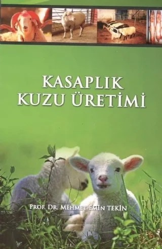 Kasaplık Kuzu Üretimi & Kuzu Besiciliği – Mehmet Emin Tekin – Atlas Yayınevi kitap kapağı
