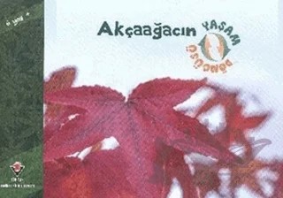Akçaağacın Yaşam Döngüsü – David M. Schwartz – TÜBİTAK Yayınları kitap kapağı