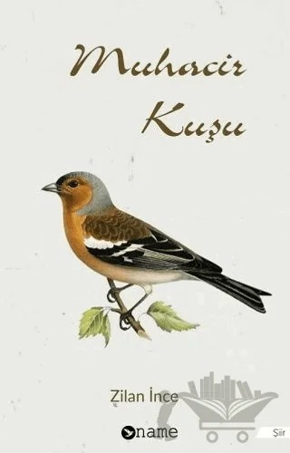 Muhacir Kuşu – Zilan İnce – Name Yayınları kitap kapağı