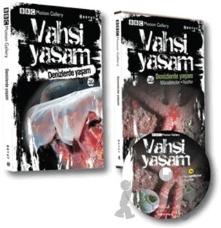 Vahşi Yaşam 2 - Denizlerde Yaşam – Kolektif – Boyut Yayın Grubu kitap kapağı