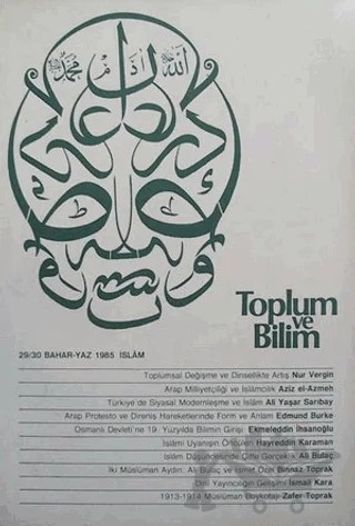 Toplum ve Bilim Sayı: 29-30 – Birikim Yayınları kitap kapağı