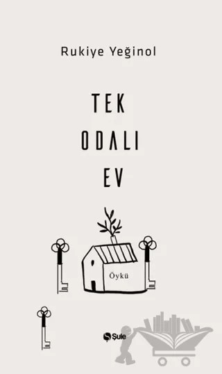 Tek Odalı Ev – Rukiye Yeğinol – Şule Yayınları kitap kapağı