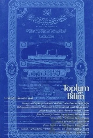 Toplum ve Bilim 31/39 – Birikim Yayınları kitap kapağı