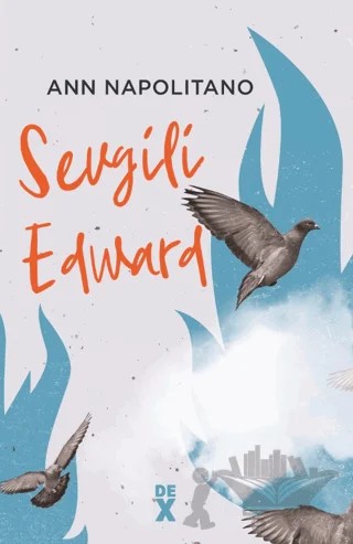 Sevgili Edward – Ann Napolitano – Dex Yayınevi kitap kapağı