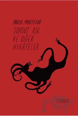 Sonsuz Aşk ve Diğer Hikayeler – Paulo Monteiro – Flaneur Books kitap kapağı