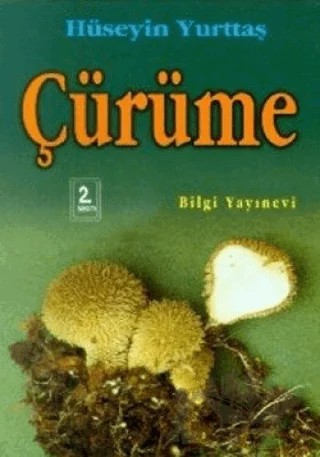 Çürüme – Hüseyin Yurttaş – Bilgi Yayınevi kitap kapağı