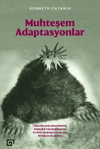 Muhteşem Adaptasyonlar – Kenneth Catania – Koç Üniversitesi Yayınları kitap kapağı
