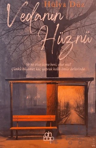 Vedanın Hüznü – Hülya Düz – Ahbap Kitap kitap kapağı