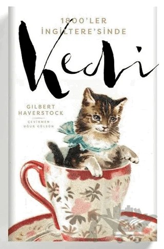 1800'ler İngiltere'sinde Kedi – Philip M. Rule – Flamingo Yayınları kitap kapağı