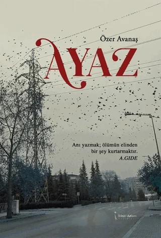 Ayaz – Özer Avanaş – İkinci Adam Yayınları kitap kapağı