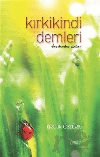 Kırkikindi Demleri – Ergün Öztürk – Çimke Yayınevi kitap kapağı