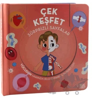 Çek Keşfet İnsan Vücudu – Kolektif – Masalperest kitap kapağı