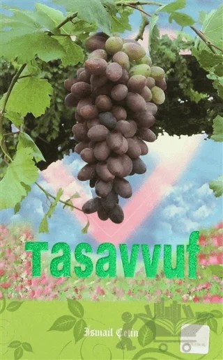 Tasavvuf – İsmail Çetin – Dilara Yayınları kitap kapağı
