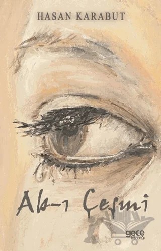Ab-ı Çeşmi – Hasan Karabut – Gece Kitaplığı kitap kapağı