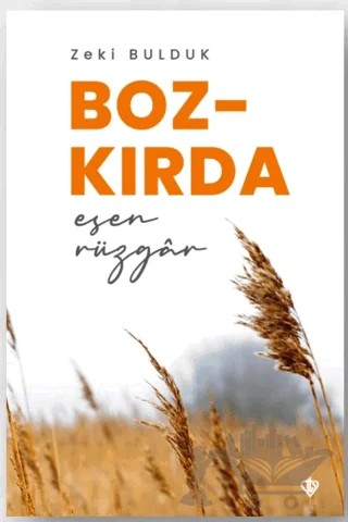 Bozkırda Esen Rüzgar – Zeki Bulduk – Türkiye Diyanet Vakfı Yayınları kitap kapağı