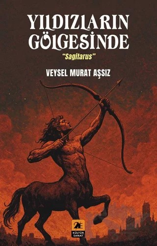 Yıldızların Gölgesinde – Veysel Murat Aşsız – 2E Kültür-Sanat kitap kapağı