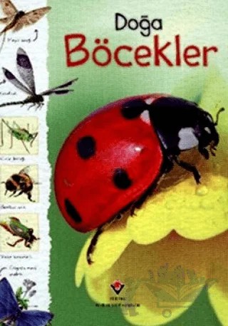 Doğa: Böcekler – Louie Stowell, Rachel Firth – TÜBİTAK Yayınları kitap kapağı