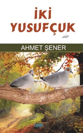 İki Yusufçuk – Ahmet Şener – Çimke Yayınevi kitap kapağı