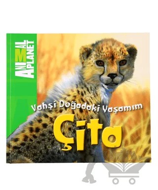 Vahşi Doğadaki Yaşamım: Çita – Meredith Costain – Doğan Egmont Yayıncılık kitap kapağı