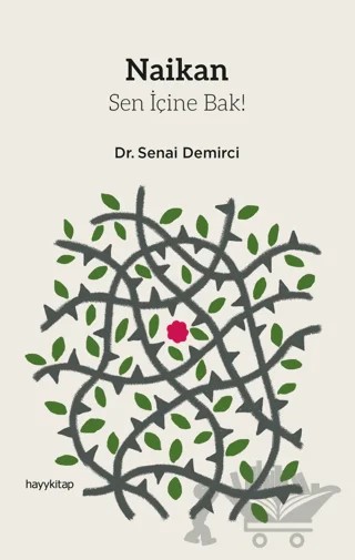 Naikan - Sen İçine Bak! – Senai Demirci – Hayykitap kitap kapağı
