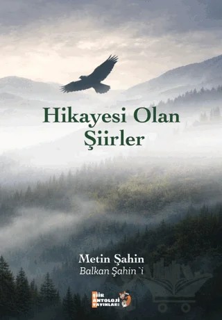 Hikayesi Olan Şiirler – Metin Şahin – Şiir Antoloji Yayınları kitap kapağı