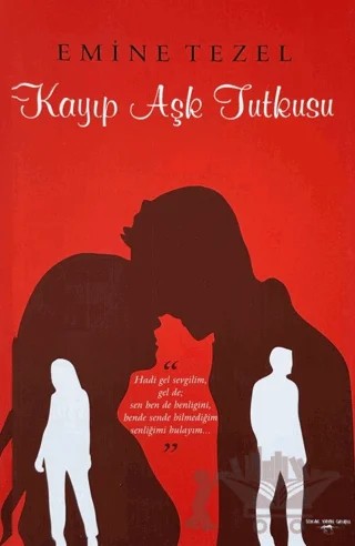 Kayıp Aşk Tutkusu – Emine Tezel – Sokak Kitapları Yayınları kitap kapağı
