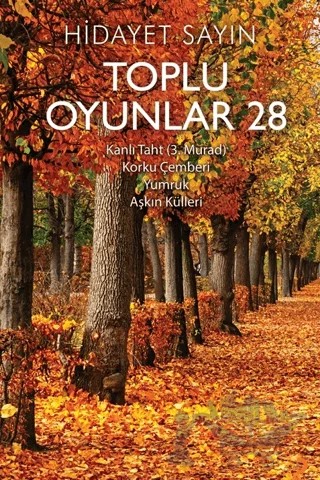 Toplu Oyunlar 28 – Hidayet Sayın – Cinius Yayınları kitap kapağı
