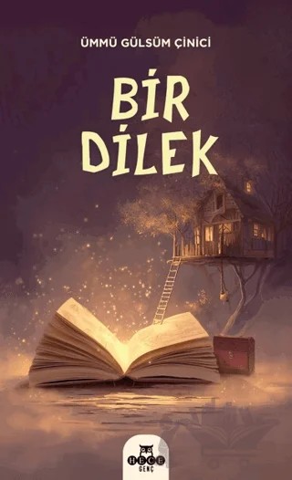 Bir Dilek – Ümmü Gülsüm Çinici – Hece Yayınları kitap kapağı