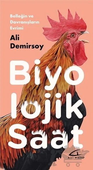 Biyolojik Saat – Ali Demirsoy – Asi Kitap kitap kapağı