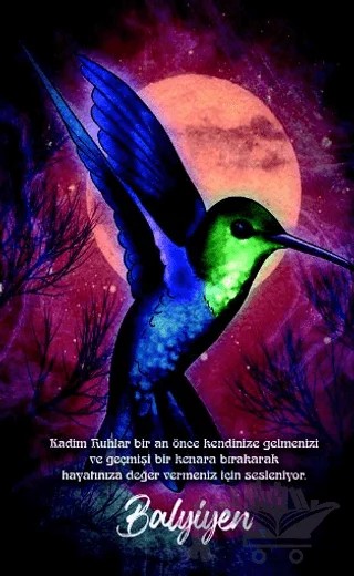 Şaman Defterleri - Balyiyen – Evangelia Volanis – Gece Kitaplığı kitap kapağı