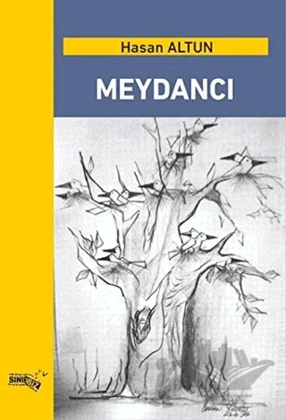 Meydancı – Hasan Altun – Sınırsız Kitap kitap kapağı