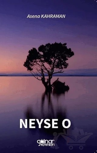 Neyse O – Asena Kahraman – Gülnar Yayınları kitap kapağı
