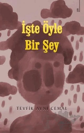İşte Öyle Bir Şey – Tevfik Avni Cemal – Karina Yayınevi kitap kapağı