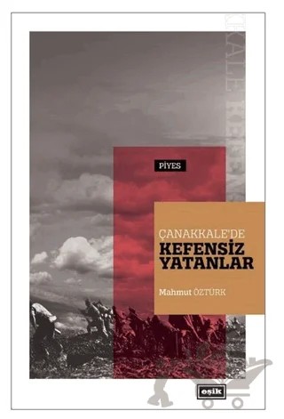 Çanakkale'de Kefensiz Yatanlar – Mahmut Öztürk – Eşik Yayınları kitap kapağı