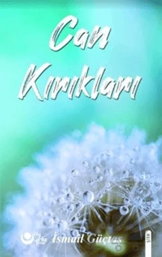 Can Kırıkları – İsmail Güçtaş – Ayyıldız Kitap kitap kapağı